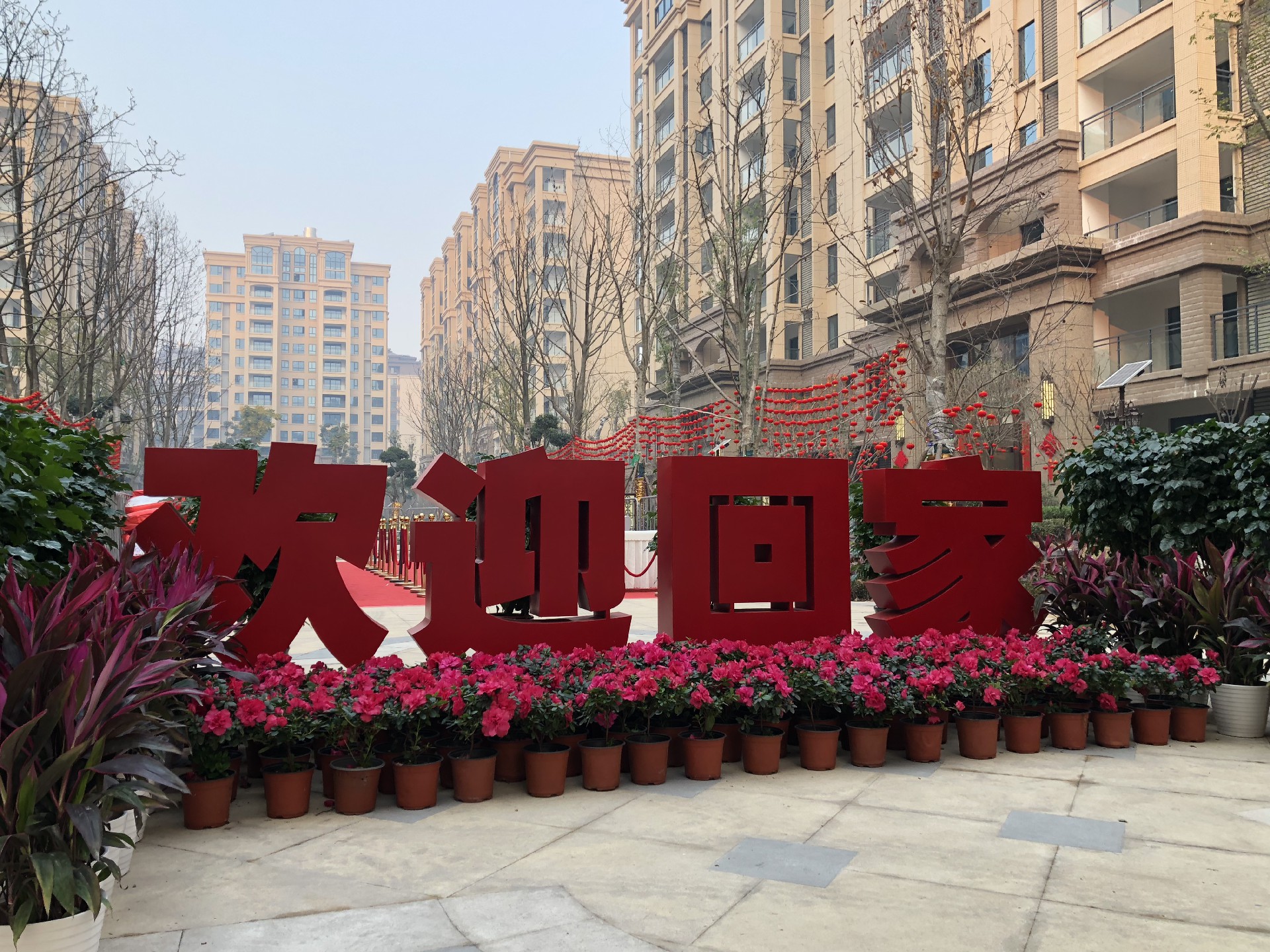 1609728314556866.jpg 1609728314556866.jpg