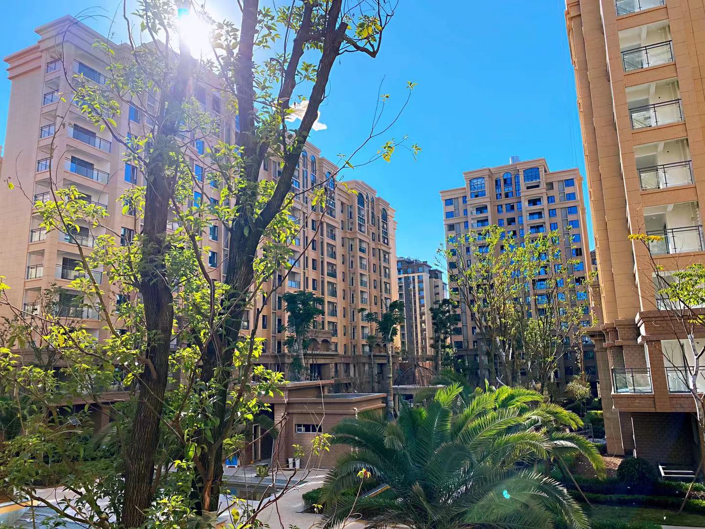 1609728687102773.jpg 1609728687102773.jpg