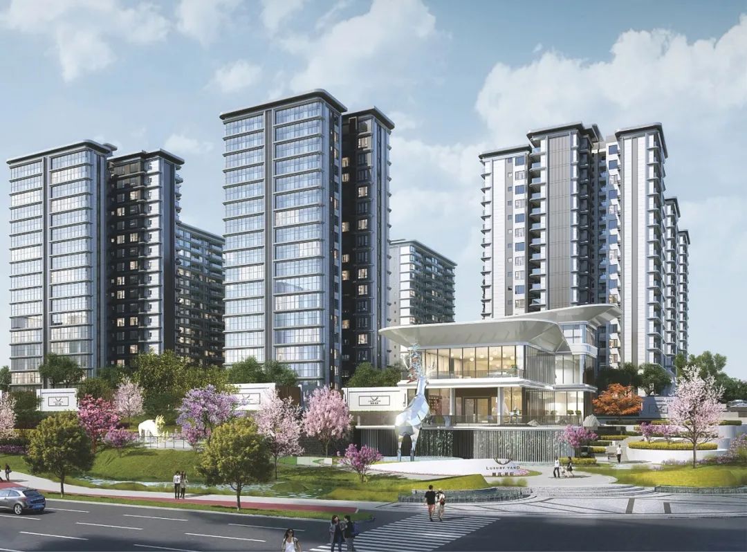 1648086978558049.jpg 8.jpg