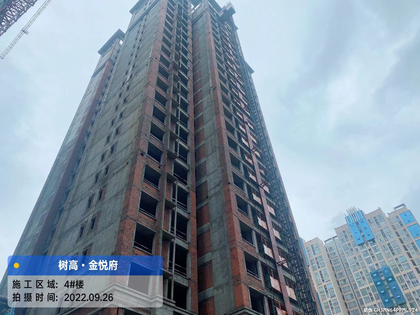 1664414298176646.jpg 1664414298176646.jpg