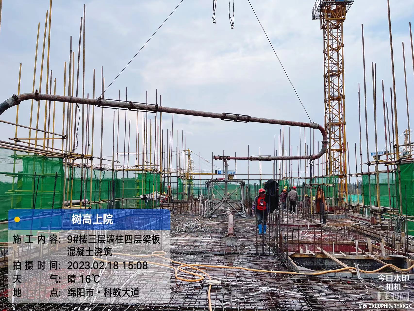 1677656120181131.jpg 1677656120181131.jpg