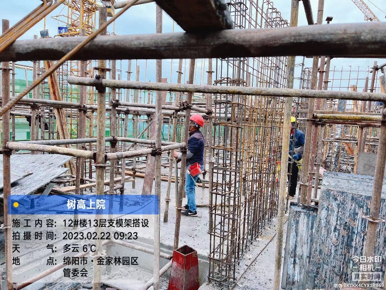 1677656120716890.jpg 1677656120716890.jpg