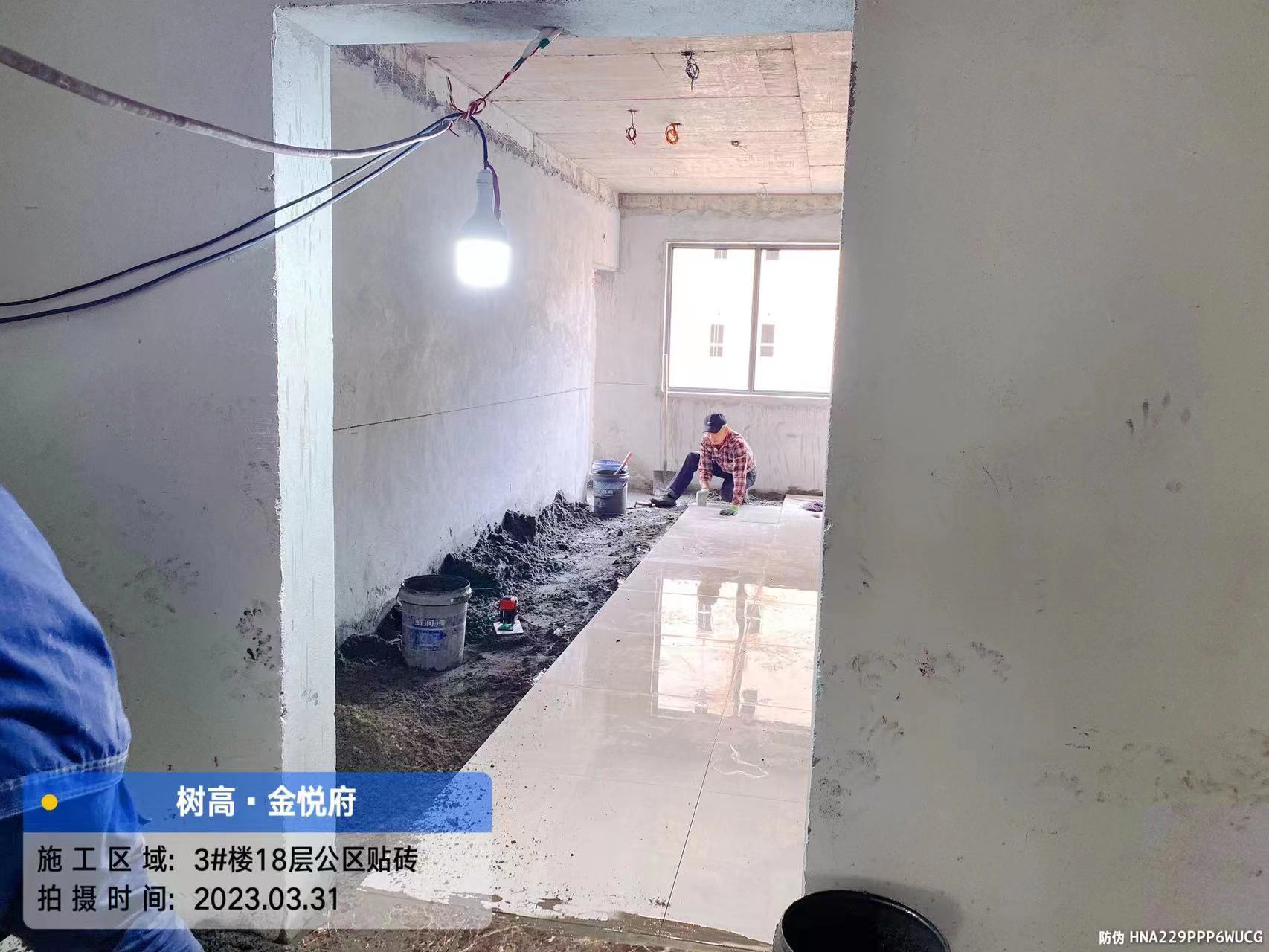 1683181001144146.jpg 1683181001144146.jpg