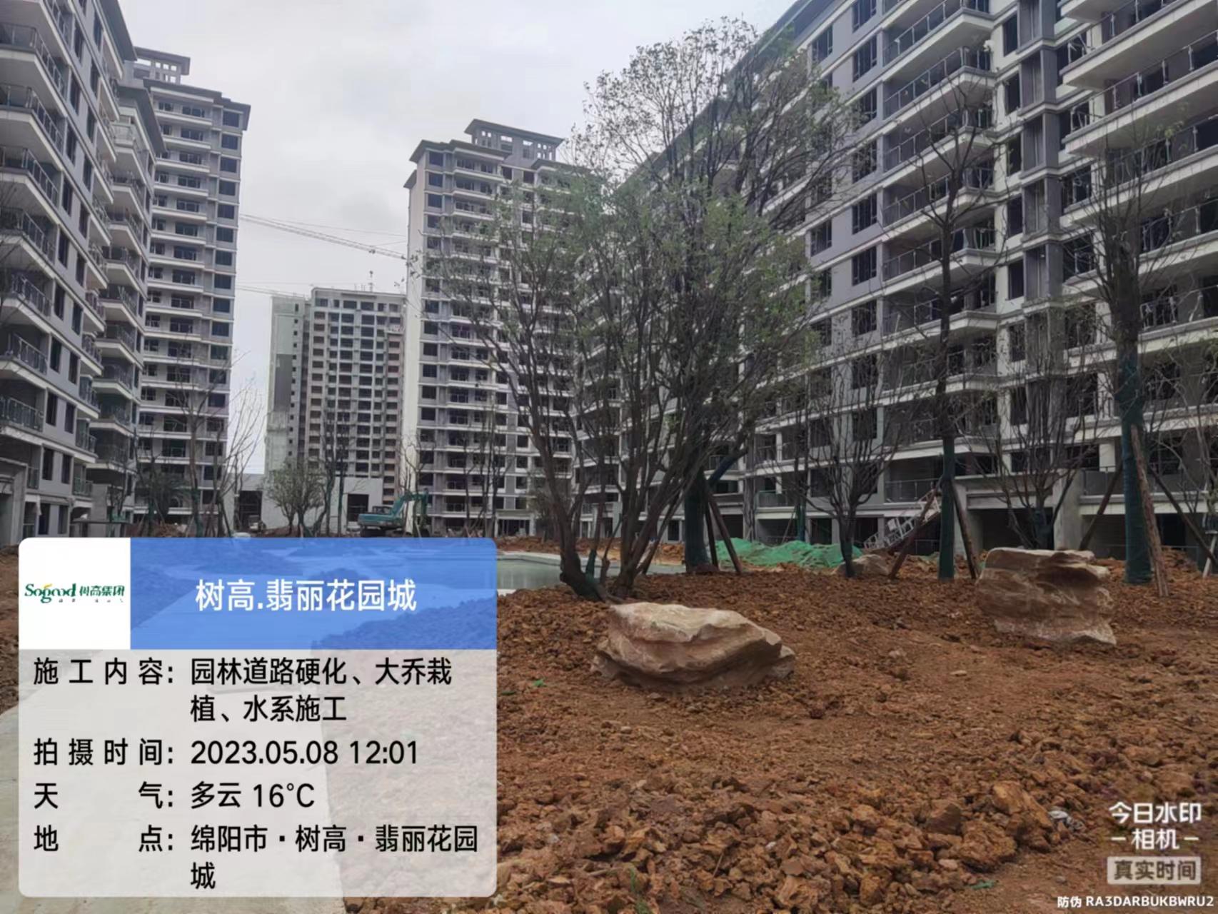 1683527361156993.jpg 1683527361156993.jpg