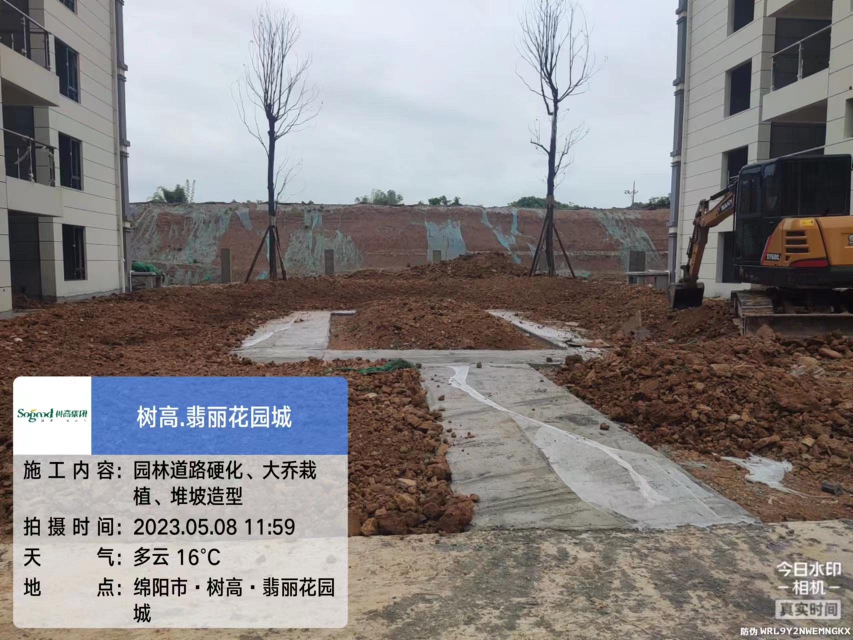 1683527361247324.jpg 1683527361247324.jpg