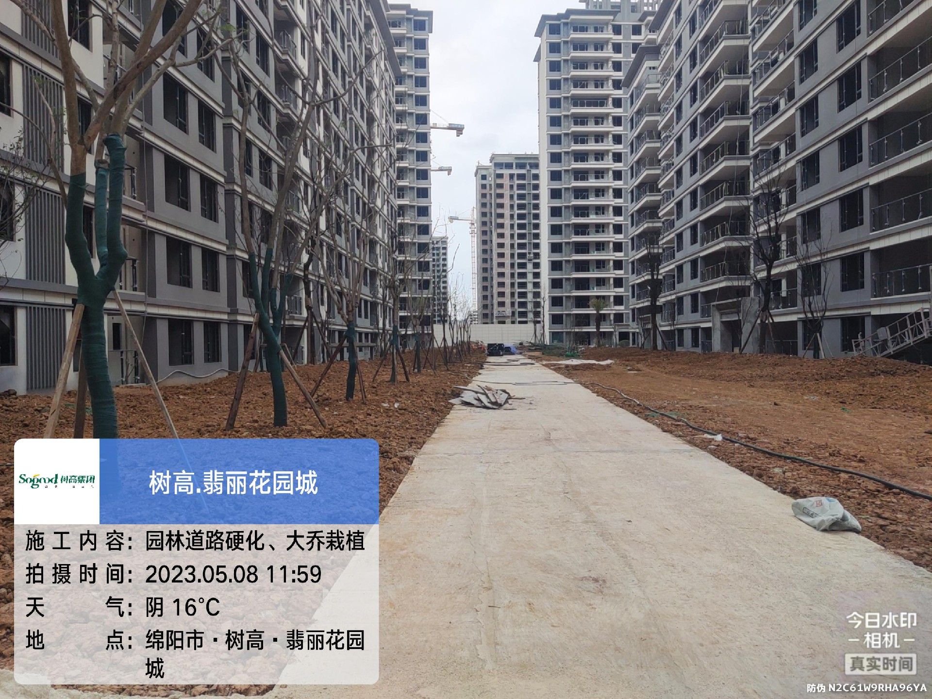 1683527361343976.jpg 1683527361343976.jpg