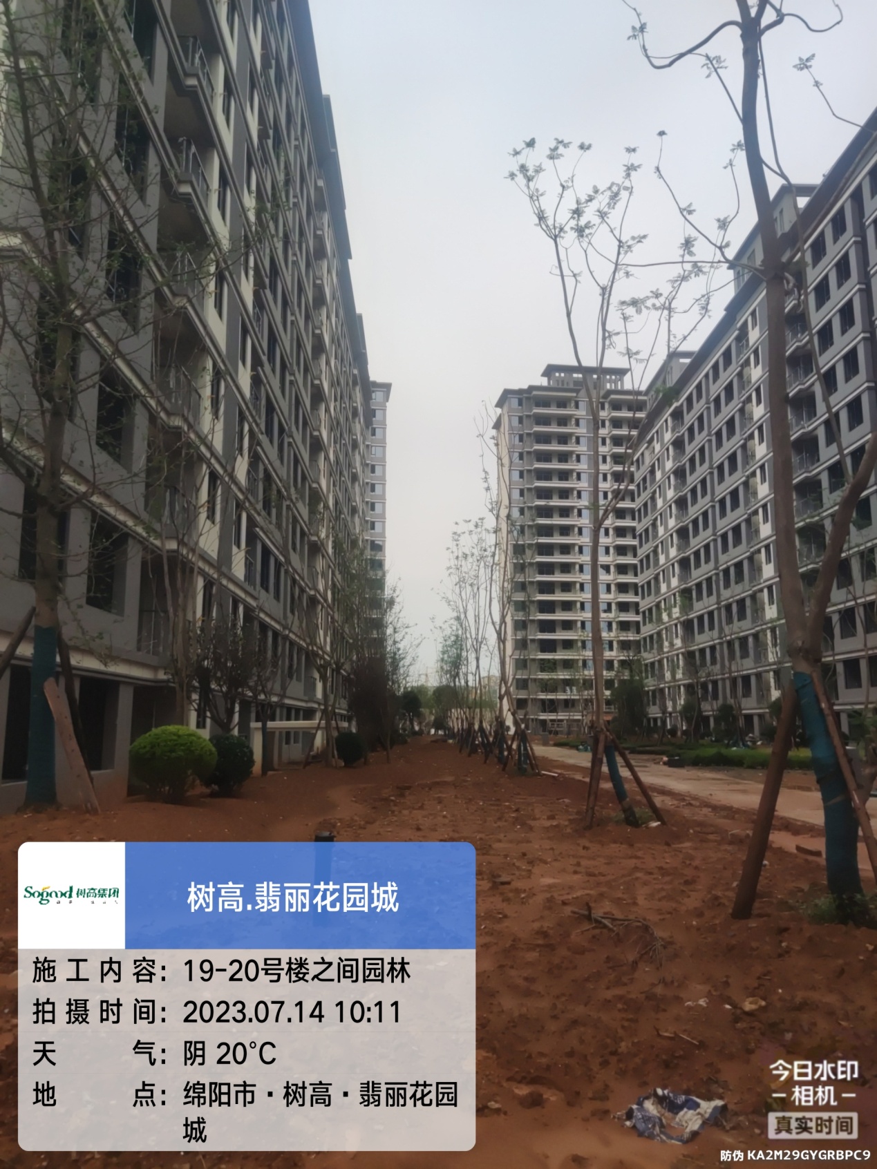 1689576677169391.jpg 1689576677169391.jpg