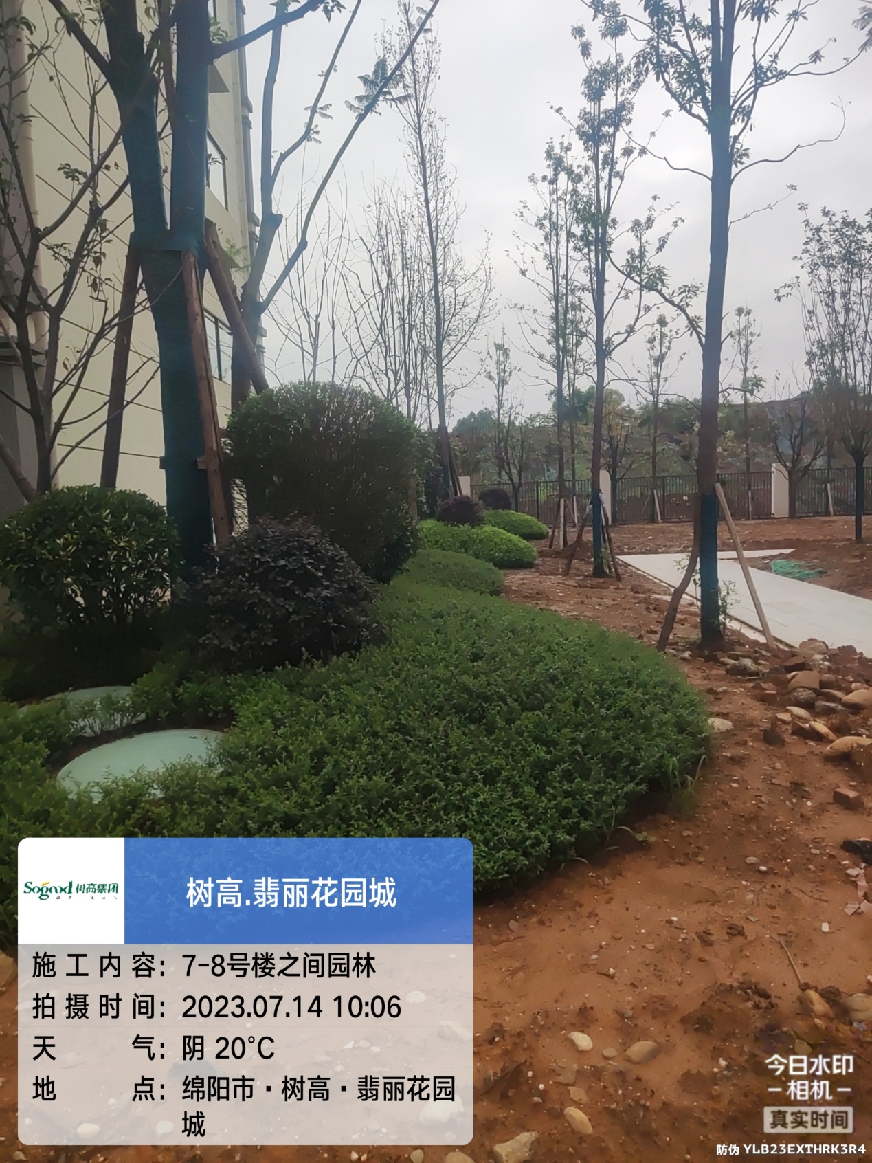 1689576677305560.jpg 1689576677305560.jpg