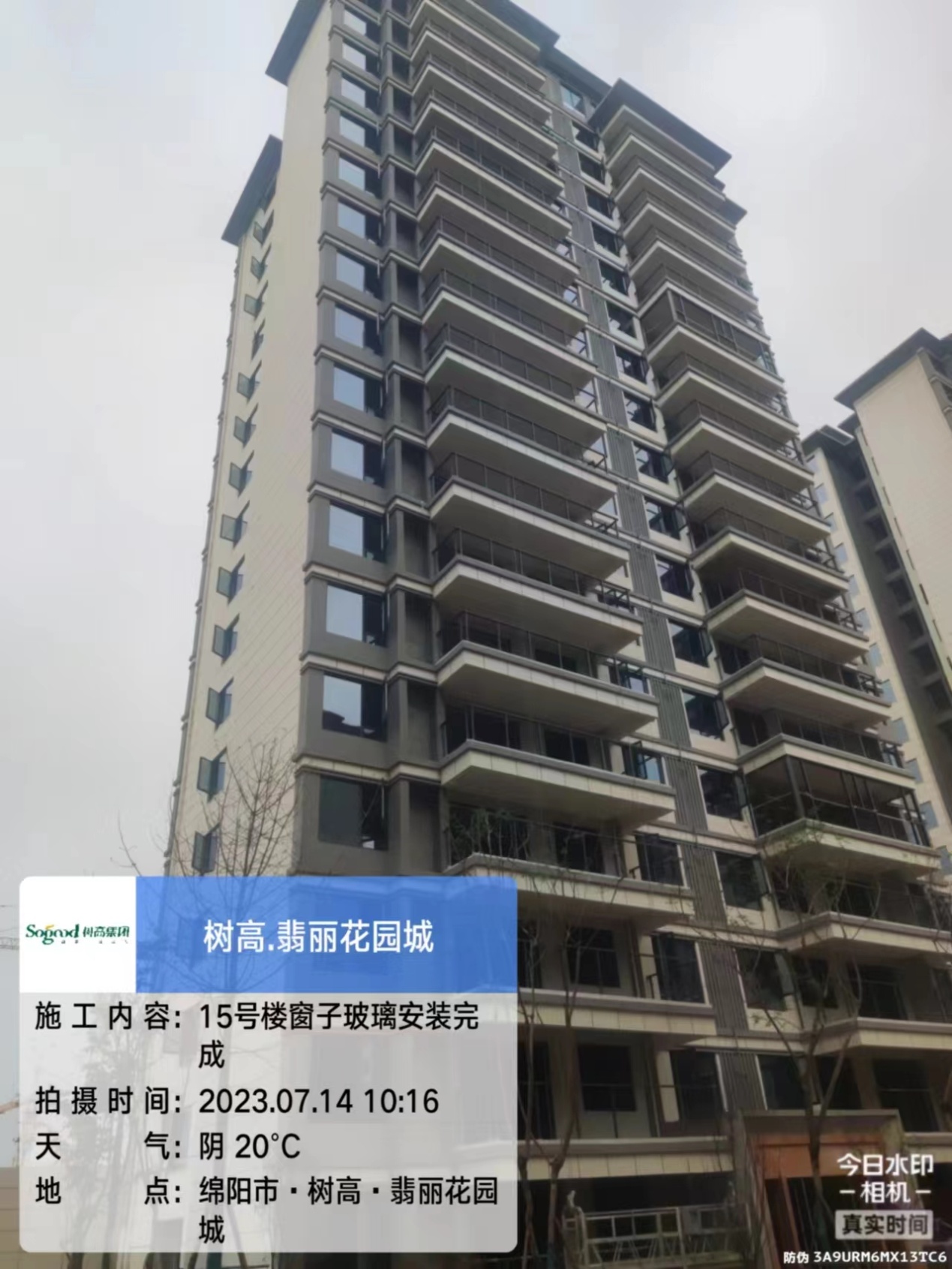 1689576678173802.jpg 1689576678173802.jpg