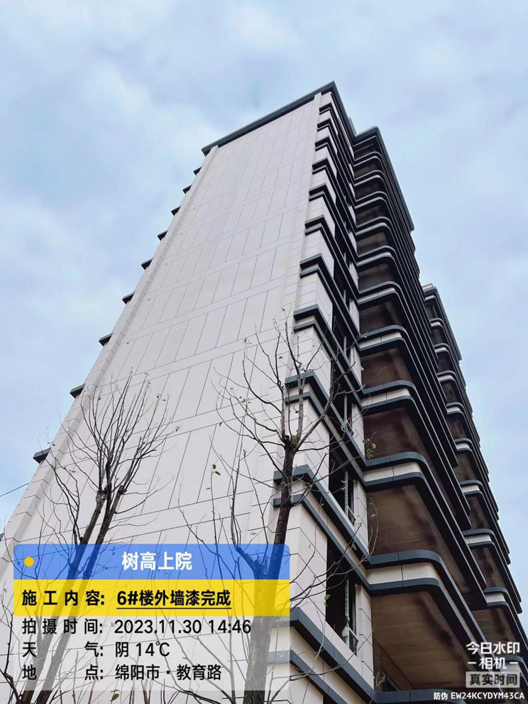 1701329482149704.png image.png