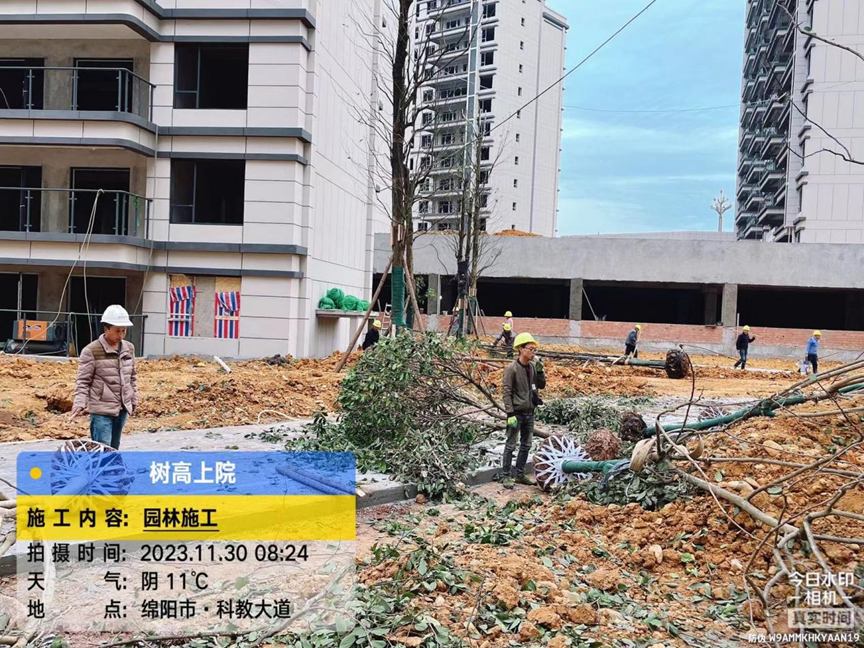 1701329559118529.png 1701329559118529.png