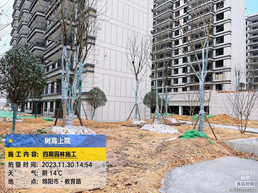 1701329659678844.png 1701329659678844.png